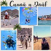 СИНАЙ И ДАЙВ