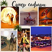 СУПЕР САФАРИ