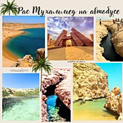 ЗАПОВЕДНИК РАС МУХАММЕД (на автобусе)