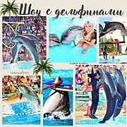 ДЕЛЬФИНАРИЙ 