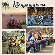 КВАДРАЦИКЛЫ